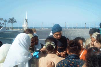 3Bibliotheque-d'Alexandrie01